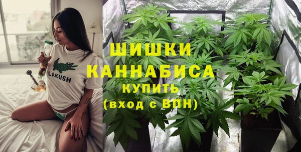 PSILOCYBIN Дмитров