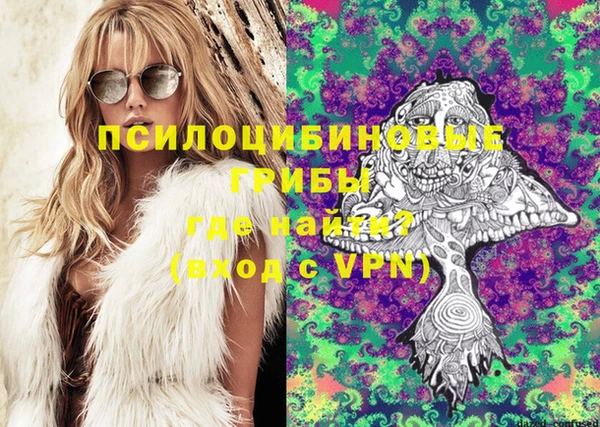 Альфа ПВП Дмитровск