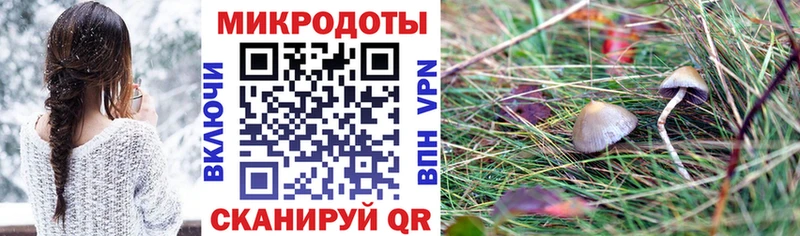 Псилоцибиновые грибы мухоморы  Салехард 